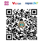 MOMO QR